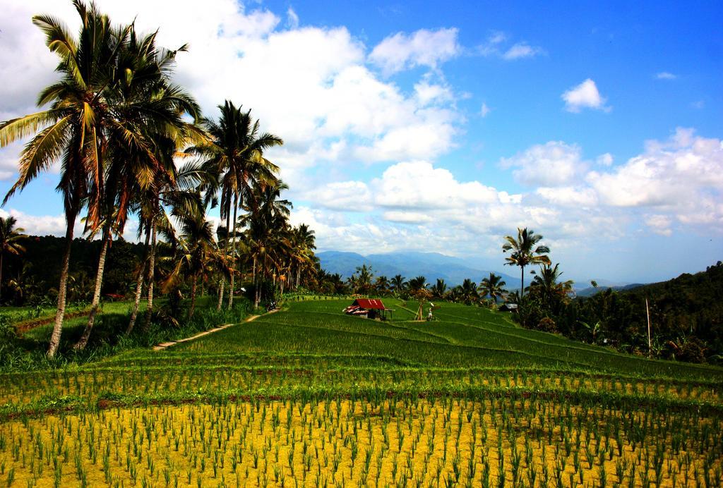 Puri Alam Bali Hotel Munduk  Exterior photo