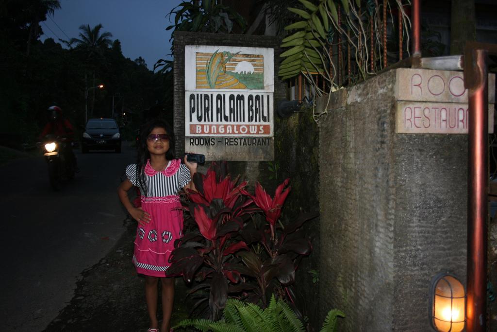 Puri Alam Bali Hotel Munduk  Exterior photo